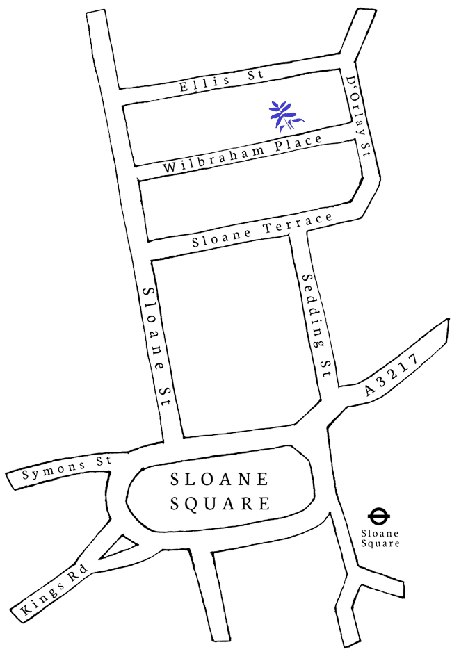 Map of Chelsea Clinic